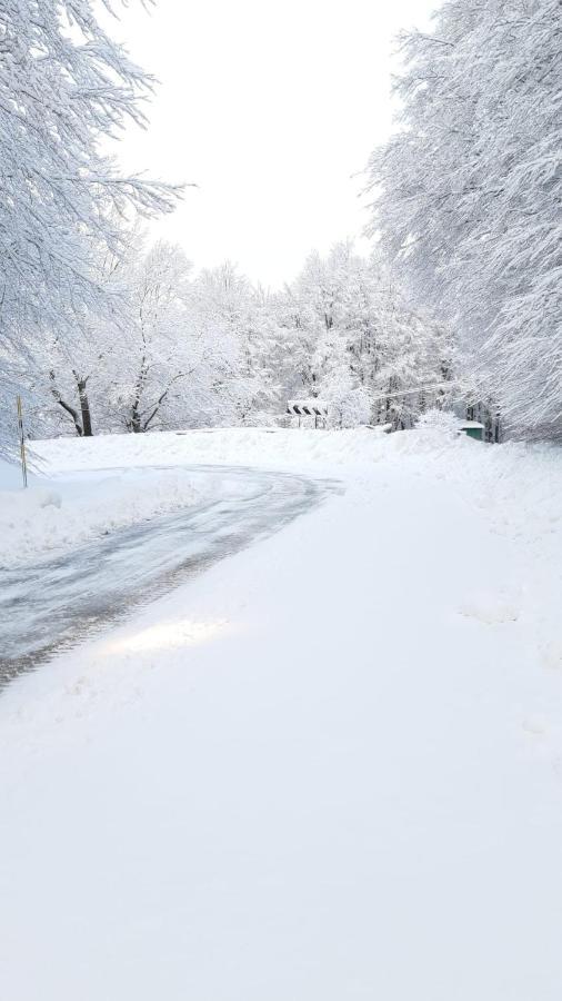 Giardino Di Potentino Seggiano Zewnętrze zdjęcie