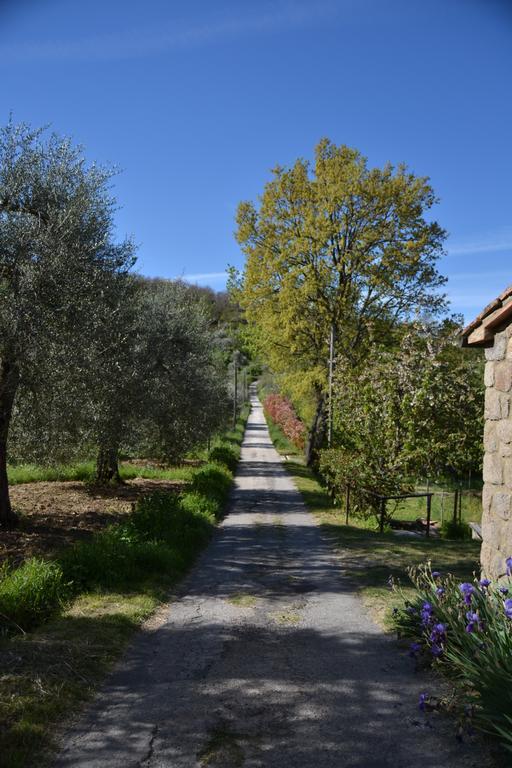 Giardino Di Potentino Seggiano Zewnętrze zdjęcie