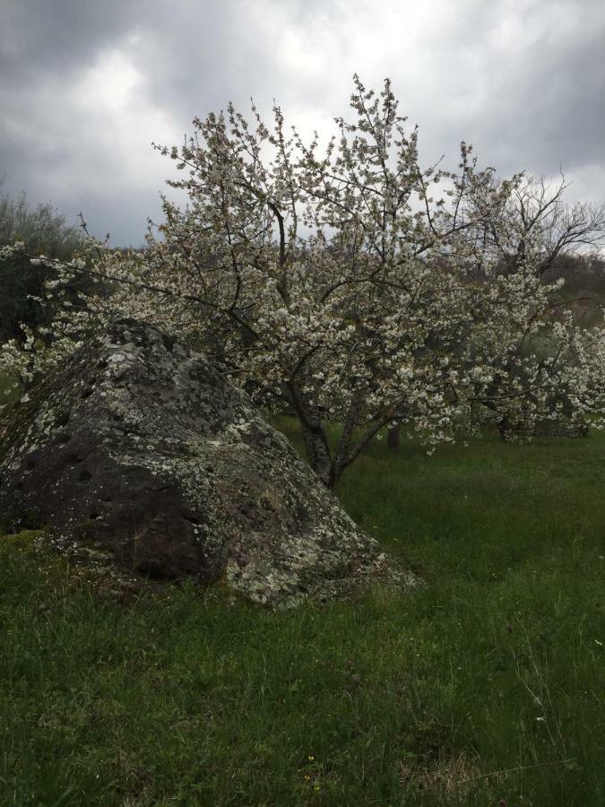 Giardino Di Potentino Seggiano Zewnętrze zdjęcie
